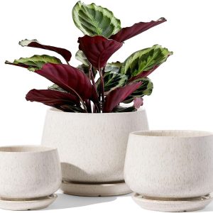 LE TAUCI Plant Pots, 4.1+5.1+6.5 inch, Set of 3, Ceramic Planters with Drainage Hole and Saucer, Indoor Flower Pot with Hole Mesh Pad, Gifts for Mom, Reactive Glaze Beige